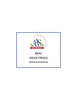 Basil Dolce Fresca