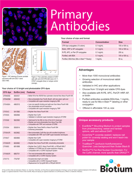 Primary Antibodies Flyer