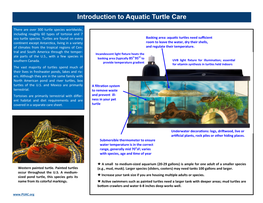 Introduction to Aquatic Turtle Care