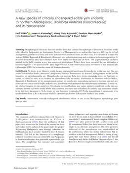 A New Species of Critically Endangered Edible Yam Endemic to Northern Madagascar, Dioscorea Irodensis (Dioscoreaceae) and Its Conservation