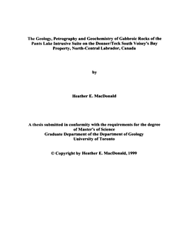 The Geology, Petrography and Geochemistry of Gabbroic Rocks Of