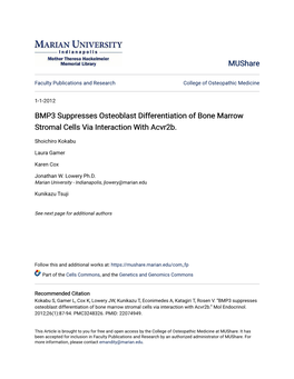 BMP3 Suppresses Osteoblast Differentiation of Bone Marrow Stromal Cells Via Interaction with Acvr2b