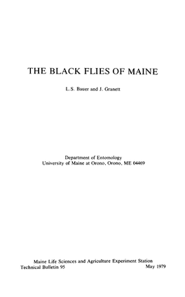 The Black Flies of Maine