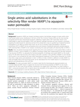 Single Amino Acid Substitutions in the Selectivity Filter