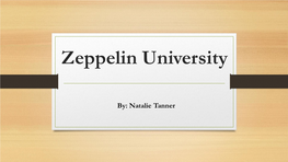Zeppelin University
