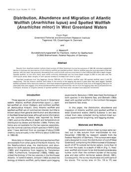 (Anarhichas Lupus) and Spotted Wolffish (Anarhichas Minor) in West Greenland Waters