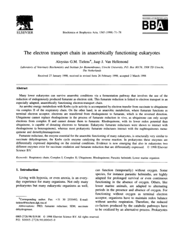 The Electron Transport Chain in Anaerobically Functioning Eukaryotes