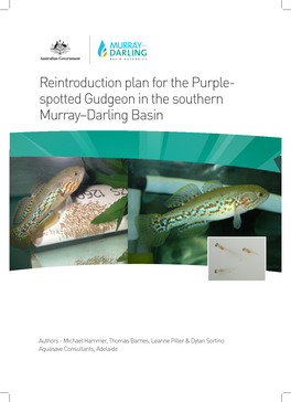 Reintroduction Plan for the Purple- Spotted Gudgeon in the Southern Murray–Darling Basin