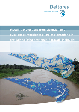 Flooding Projections from Elevation and Subsidence Models for Oil Palm Plantations in the Rajang Delta Peatlands, Sarawak, Malaysia