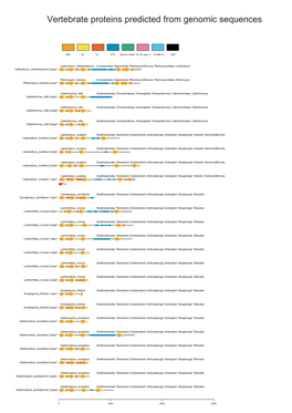 Vertebrate Proteins Predicted from Genomic Sequences