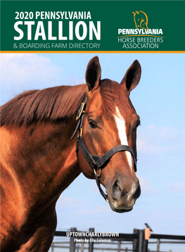 Online-2020-Stallion-Directory-File.Pdf