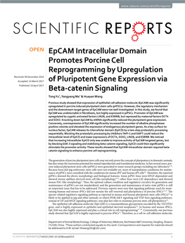 Epcam Intracellular Domain Promotes Porcine Cell