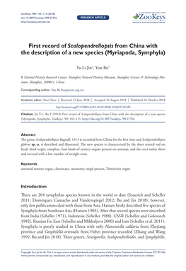 Myriapoda, Symphyla)