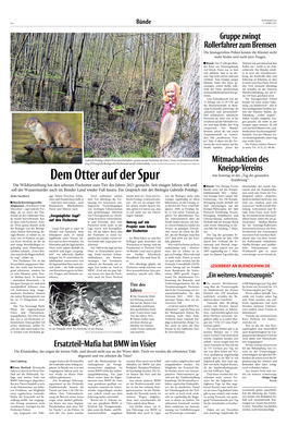 Dem Otter Auf Der Spur Ernährung“