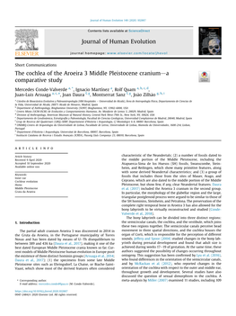 The Cochlea of the Aroeira 3 Middle Pleistocene Cranium-A Comparative