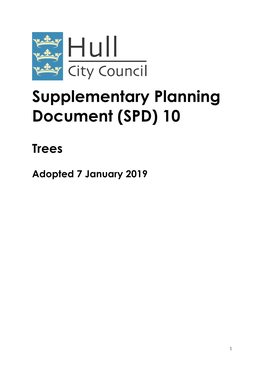 Supplementary Planning Document (SPD) 10