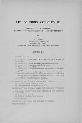 Les Poissons Aveugles (I)