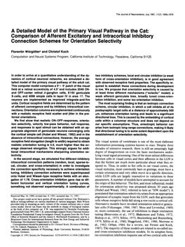 A Detailed Model of the Primary Visual Pathway in The