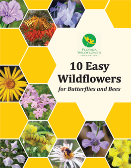 10 Easy Wildflowers for Butterflies and Bees Tips and Terms