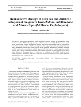 Reproductive Strategy of Deep-Sea and Antarctic Octopods of the Genera Graneledone, Adelieledone and Muusoctopus (Mollusca: Cephalopoda)
