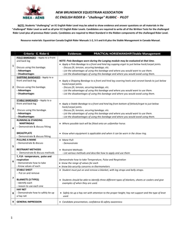 ENGLISH RIDER 8 - "Challenge" RUBRIC - PILOT