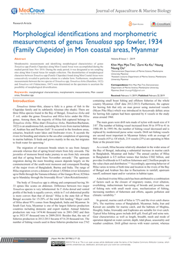 Morphological Identifications and Morphometric Measurements of Genus Tenualosa Spp Fowler, 1934 (Family Clupeidae) in Mon Coastal Areas, Myanmar