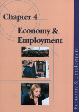 Economy and Employment 35