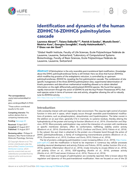 Identification and Dynamics of the Human ZDHHC16-ZDHHC6 Palmitoylation Cascade