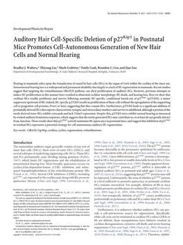 Auditory Hair Cell-Specific Deletion of P27 in Postnatal Mice Promotes