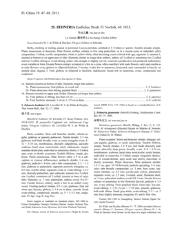 Zehneria (PDF)