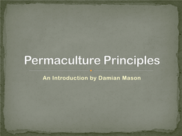 Permaculture Principles