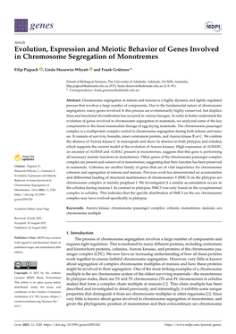 Evolution, Expression and Meiotic Behavior of Genes Involved in Chromosome Segregation of Monotremes