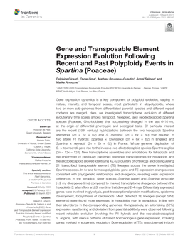 Gene and Transposable Element Expression Evolution Following Recent and Past Polyploidy Events in Spartina (Poaceae)