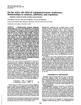 On the Active Site Thiol of Y-Glutamylcysteine Synthetase