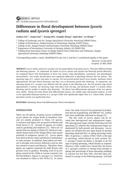 Differences in Floral Development Between Lycoris Radiata And