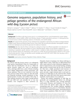 Genome Sequence, Population History, and Pelage Genetics of the Endangered African Wild Dog (Lycaon Pictus) Michael G