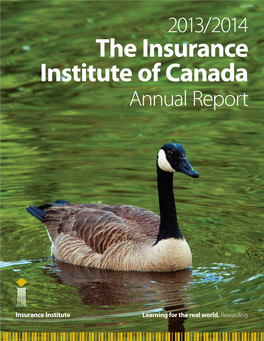 Financial Statements the Insurance Institute of Canada/ L’Institut D’Assurance Du Canada