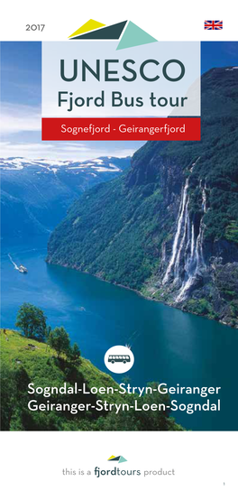 UNESCO Fjord Bus Tour