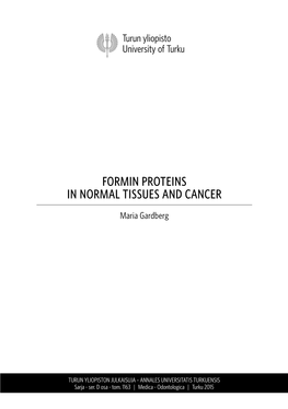 Formin Proteins in Normal Tissues and Cancer