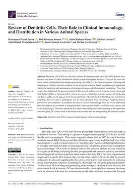 Review of Dendritic Cells, Their Role in Clinical Immunology, and Distribution in Various Animal Species