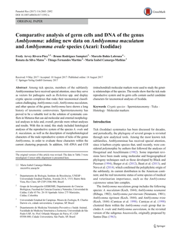 Comparative Analysis of Germ Cells and DNA of the Genus Amblyomma: Adding New Data on Amblyomma Maculatum and Amblyomma Ovale Species (Acari: Ixodidae)