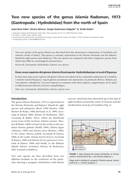 Two New Species of the Genus Islamia Radoman, 1973 (Gastropoda : Hydrobiidae) from the North of Spain