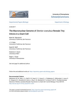 The Macronuclear Genome of Stentor Coeruleus Reveals Tiny Introns in a Giant Cell