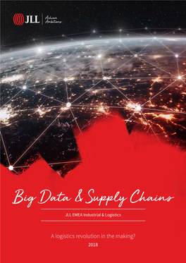 Big Data & Supply Chains