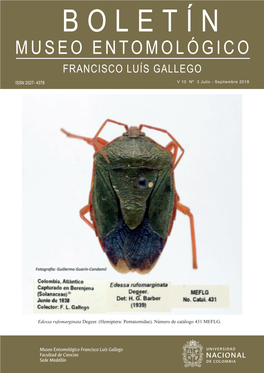 Museo Entomológico Francisco Luís Gallego