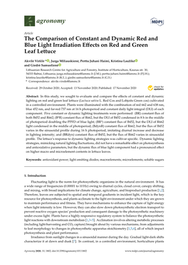 The Comparison of Constant and Dynamic Red and Blue Light Irradiation Eﬀects on Red and Green Leaf Lettuce