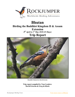 Bhutan Birding the Buddhist Kingdom II & Assam Extension 8Th April to 1St May 2018 (25 Days) Trip Report