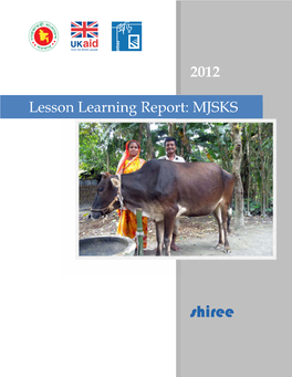 Lesson Learning Report: MJSKS
