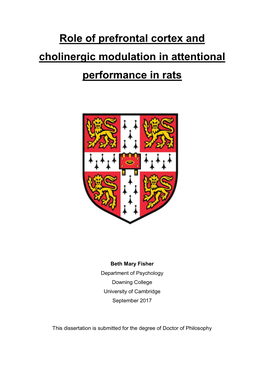 Role of Prefrontal Cortex and Cholinergic Modulation in Attentional