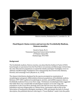 Status Review and Surveys for Frecklebelly Madtom, Noturus Munitus